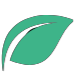 Mint Leaf Media